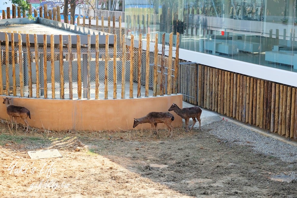 親子景點【新竹市立動物園】沒有籠子的動物園～全新回歸更好逛！(交通、停車場、門票) - yuki.tw