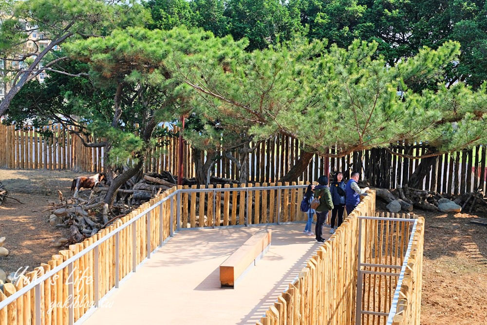 親子景點【新竹市立動物園】沒有籠子的動物園～全新回歸更好逛！(交通、停車場、門票) - yuki.tw