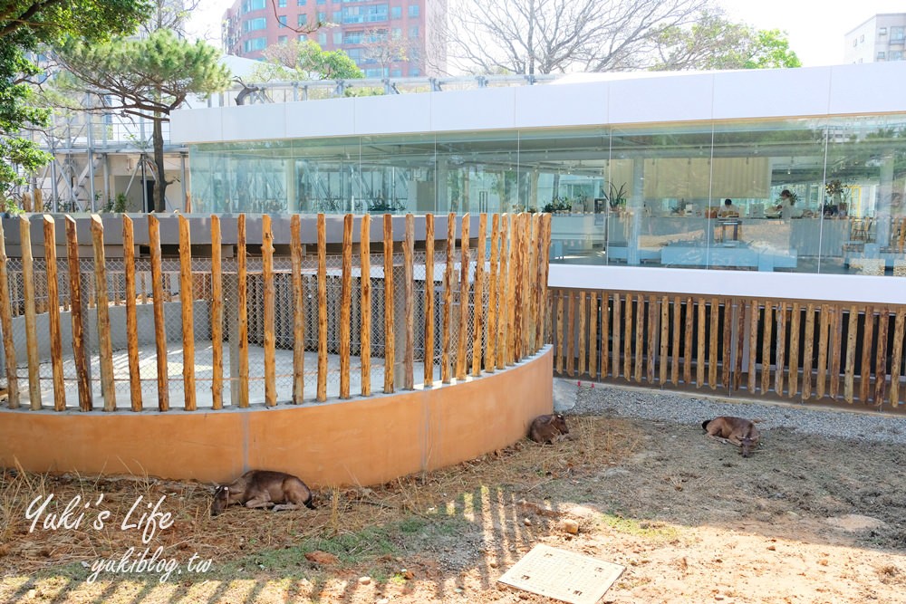 親子景點【新竹市立動物園】沒有籠子的動物園～全新回歸更好逛！(交通、停車場、門票) - yuki.tw