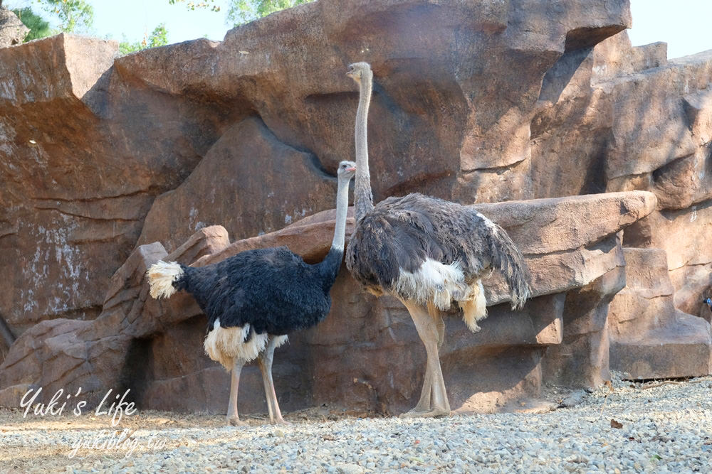 親子景點【新竹市立動物園】沒有籠子的動物園～全新回歸更好逛！(交通、停車場、門票) - yuki.tw