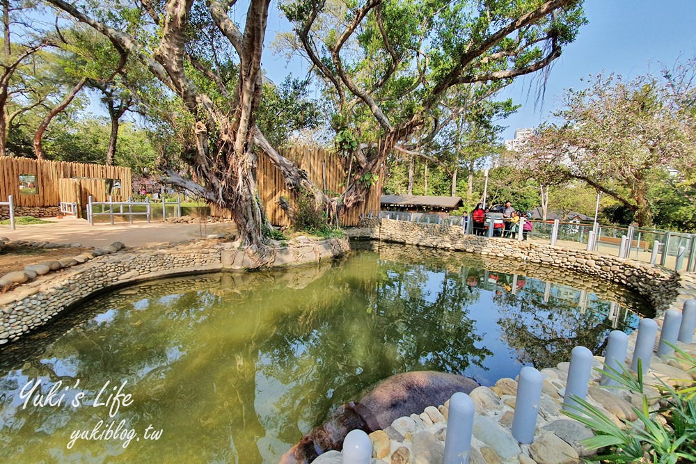 親子景點【新竹市立動物園】沒有籠子的動物園～全新回歸更好逛！(交通、停車場、門票) - yuki.tw