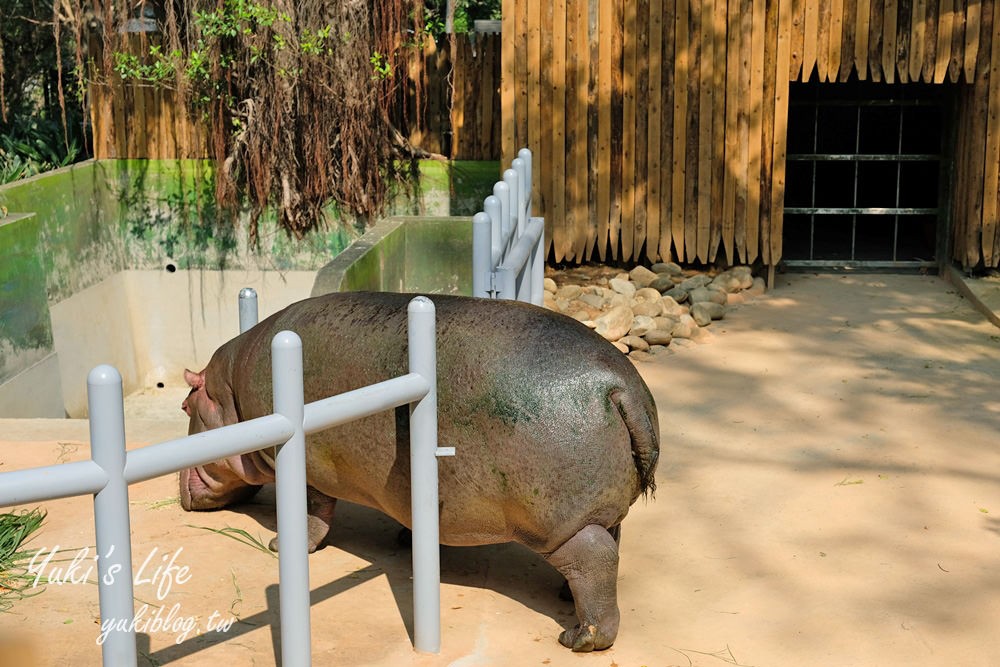 親子景點【新竹市立動物園】沒有籠子的動物園～全新回歸更好逛！(交通、停車場、門票) - yuki.tw