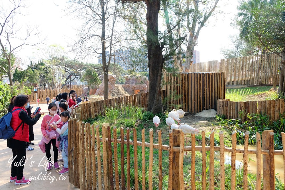 親子景點【新竹市立動物園】沒有籠子的動物園～全新回歸更好逛！(交通、停車場、門票) - yuki.tw