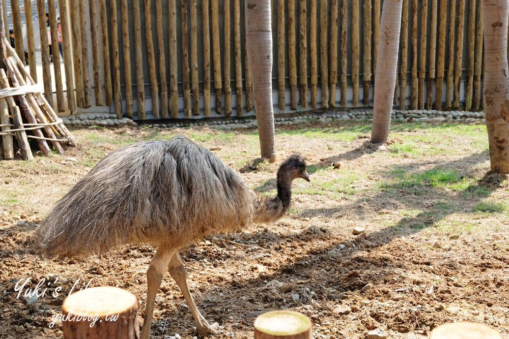 親子景點【新竹市立動物園】沒有籠子的動物園～全新回歸更好逛！(交通、停車場、門票) - yuki.tw