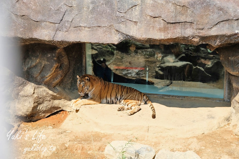 親子景點【新竹市立動物園】沒有籠子的動物園～全新回歸更好逛！(交通、停車場、門票) - yuki.tw