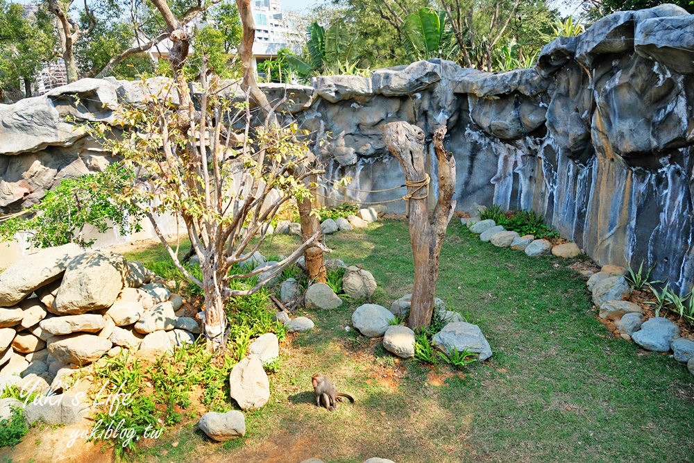 親子景點【新竹市立動物園】沒有籠子的動物園～全新回歸更好逛！(交通、停車場、門票) - yuki.tw