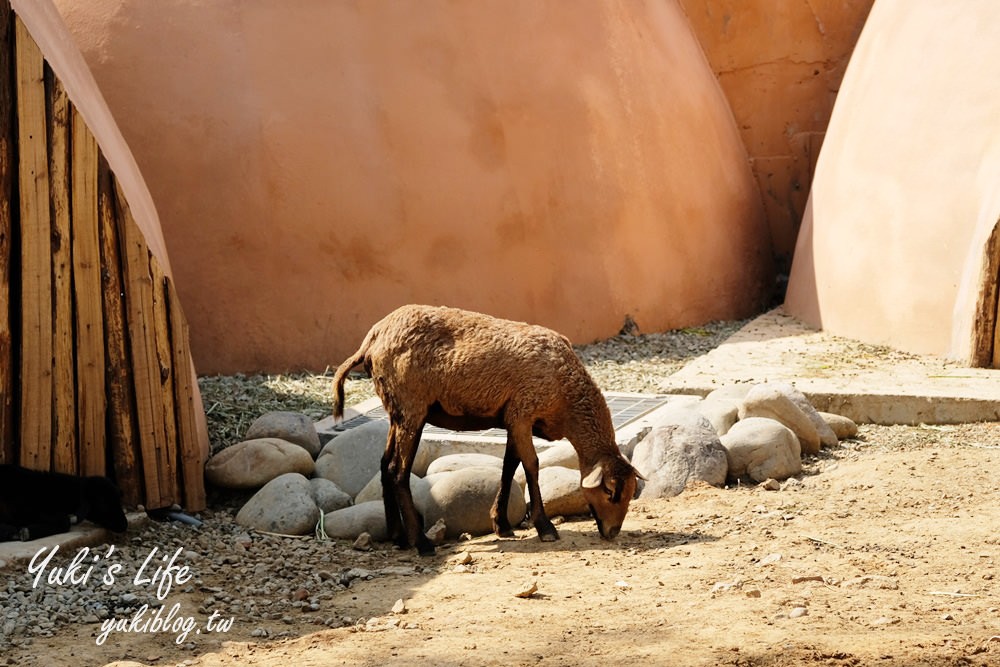 親子景點【新竹市立動物園】沒有籠子的動物園～全新回歸更好逛！(交通、停車場、門票) - yuki.tw