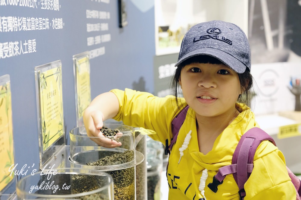 南投名間景點【茶二指故事館】茶園裡的巨型珍珠奶茶！兒童戲水池×沙坑～放假悠閒聽歌喝茶趣！ - yuki.tw