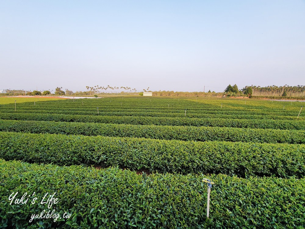 南投名間景點【茶二指故事館】茶園裡的巨型珍珠奶茶！兒童戲水池×沙坑～放假悠閒聽歌喝茶趣！ - yuki.tw