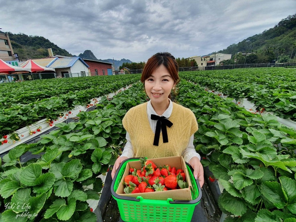 苗栗大湖採草莓推薦【莓果大高架草莓園】2023大湖草莓季推薦這間 - yuki.tw