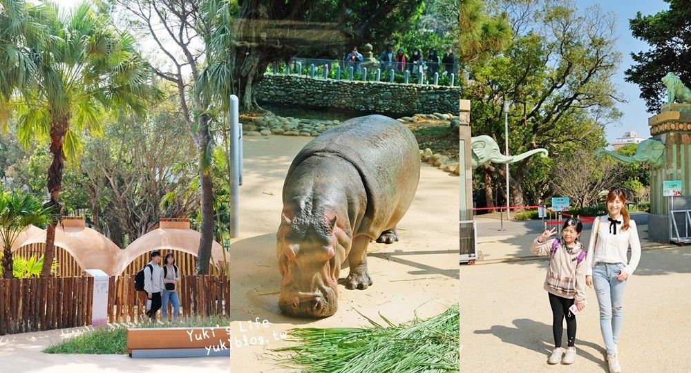 親子景點【新竹市立動物園】沒有籠子的動物園～全新回歸更好逛！(交通、停車場、門票)