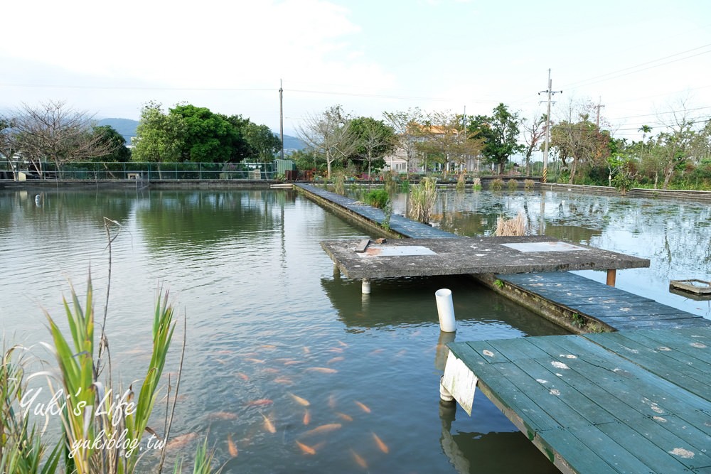 宜蘭員山景點【勝洋水草休閒農場】親子生態之旅×DIY生態瓶、原木筆×魚吃腳×清水模咖啡下午茶 - yuki.tw