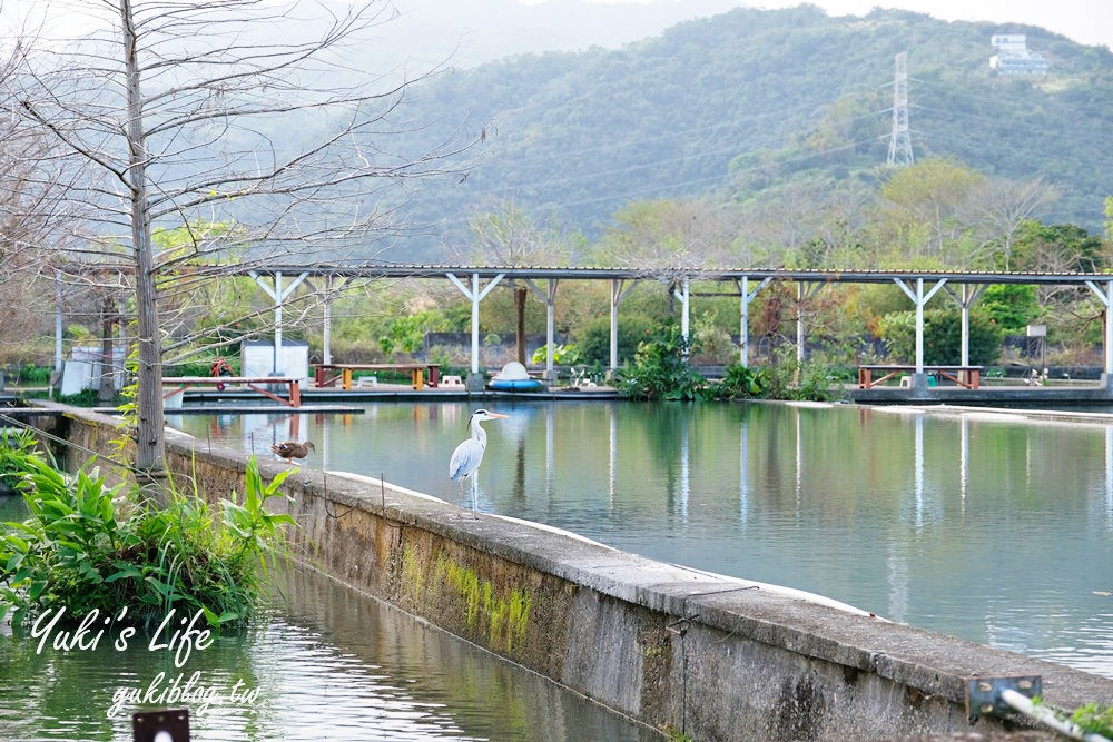 宜蘭員山景點【勝洋水草休閒農場】親子生態之旅×DIY生態瓶、原木筆×魚吃腳×清水模咖啡下午茶 - yuki.tw