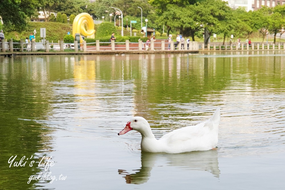 體育大學志清湖》湖中土地公廟！大草皮超愜意，好停車還能免費逛文物館 - yuki.tw