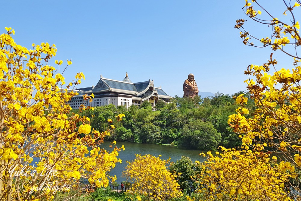 湖畔遠眺彌勒佛×黃花風鈴木拍照點在這裡！湖畔季節限定美景～ - yuki.tw