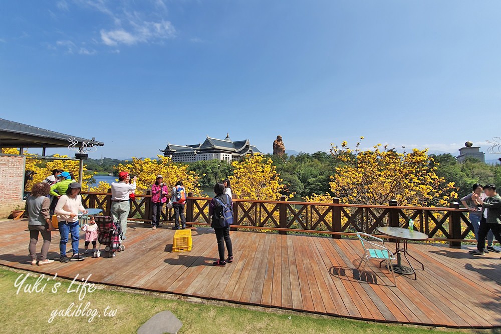 湖畔遠眺彌勒佛×黃花風鈴木拍照點在這裡！湖畔季節限定美景～ - yuki.tw