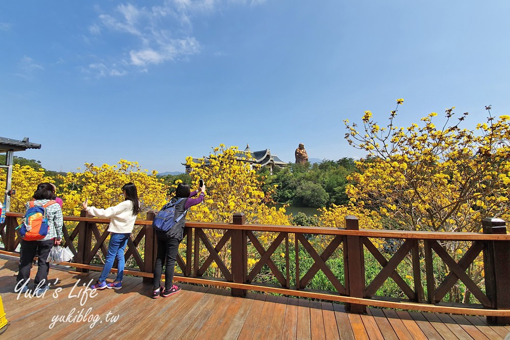 湖畔遠眺彌勒佛×黃花風鈴木拍照點在這裡！湖畔季節限定美景～ - yuki.tw