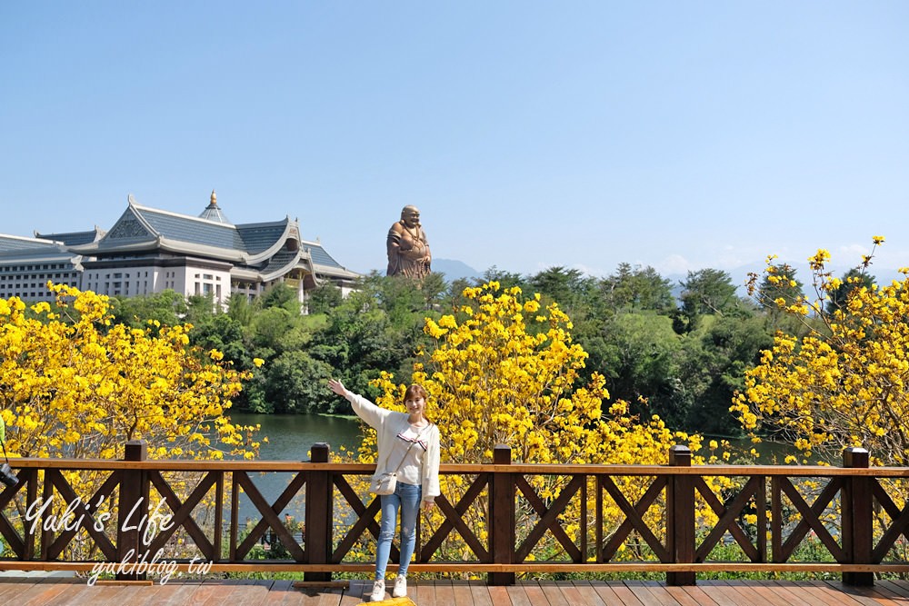 湖畔遠眺彌勒佛×黃花風鈴木拍照點在這裡！湖畔季節限定美景～ - yuki.tw