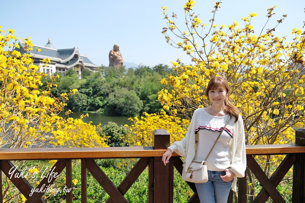 湖畔遠眺彌勒佛×黃花風鈴木拍照點在這裡！湖畔季節限定美景～ - yuki.tw