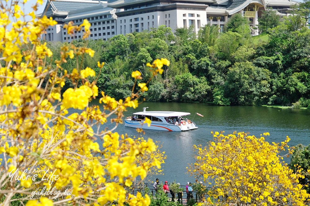 湖畔遠眺彌勒佛×黃花風鈴木拍照點在這裡！湖畔季節限定美景～ - yuki.tw