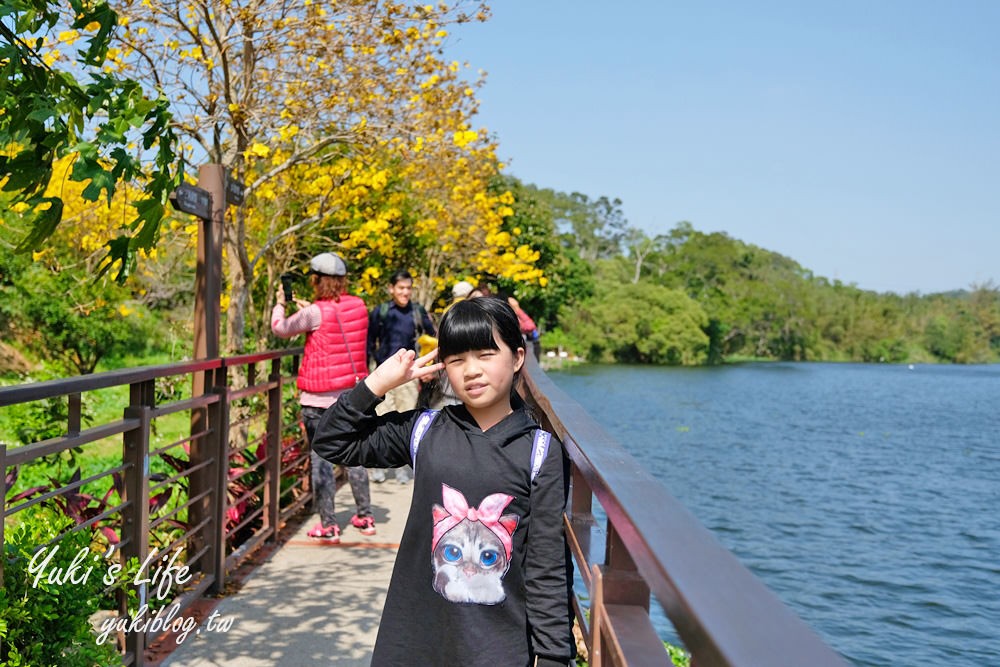 湖畔遠眺彌勒佛×黃花風鈴木拍照點在這裡！湖畔季節限定美景～ - yuki.tw