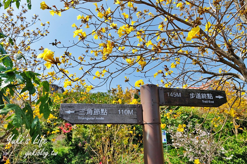 湖畔遠眺彌勒佛×黃花風鈴木拍照點在這裡！湖畔季節限定美景～ - yuki.tw