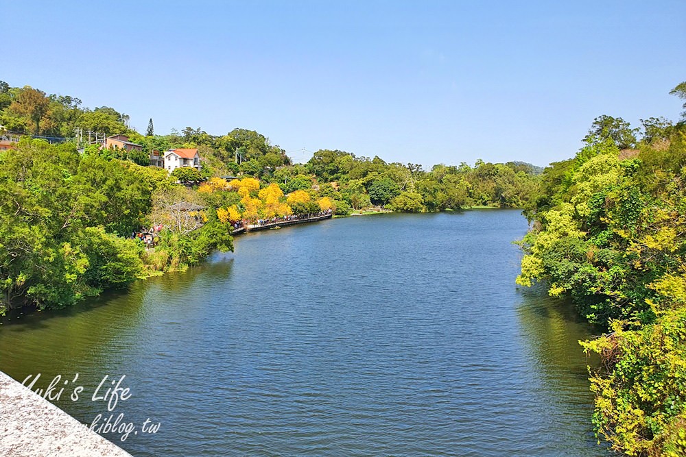 湖畔遠眺彌勒佛×黃花風鈴木拍照點在這裡！湖畔季節限定美景～ - yuki.tw