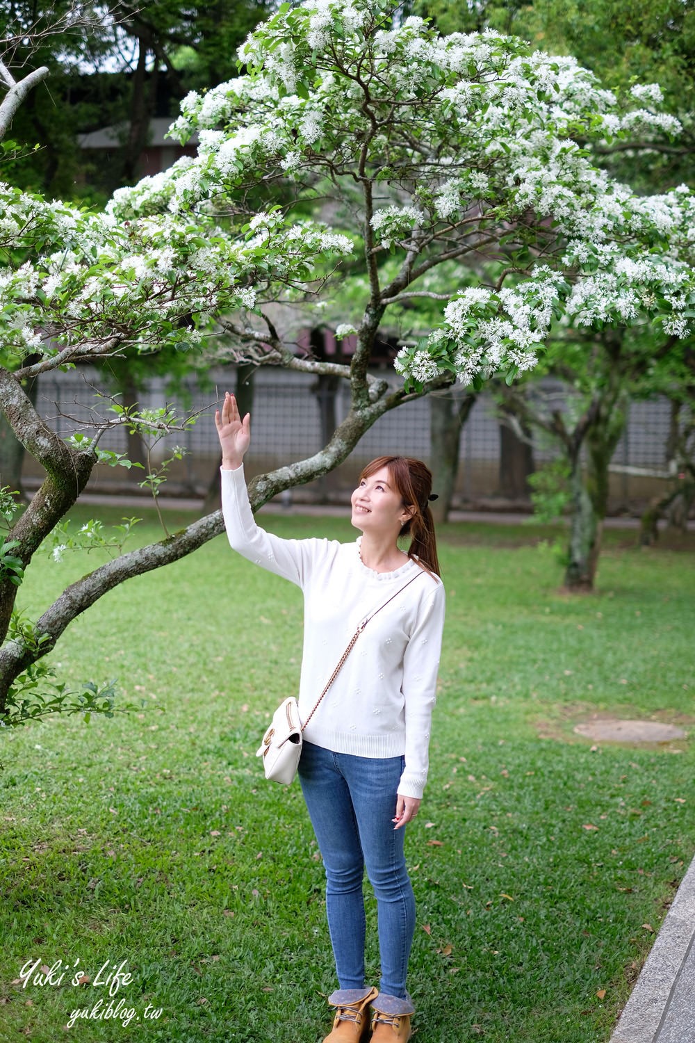 桃園親子景點【龍潭石管局大草原】親子野餐好去處×賞四月雪流蘇花在這裡 - yuki.tw