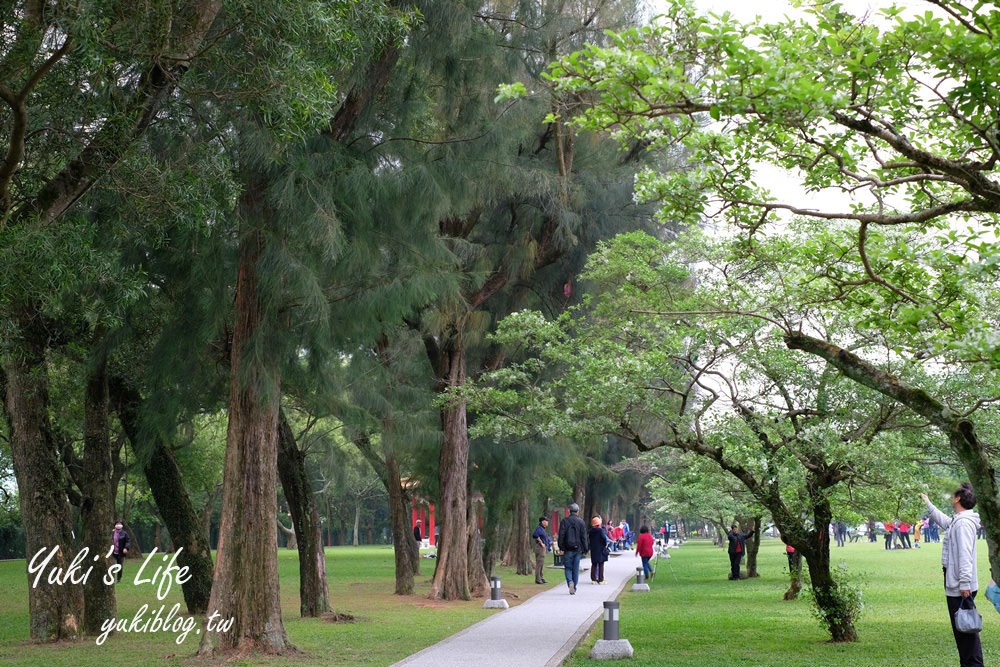 桃園親子景點【龍潭石管局大草原】親子野餐好去處×賞四月雪流蘇花在這裡 - yuki.tw