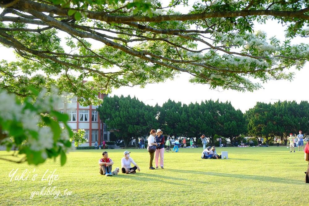 桃園龍潭景點一日遊｜暢玩7處一天玩不完！賞花野餐逛老街全都有～ - yuki.tw