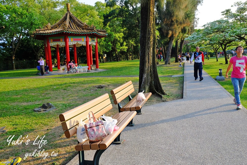 桃園親子景點【龍潭石管局大草原】親子野餐好去處×賞四月雪流蘇花在這裡 - yuki.tw