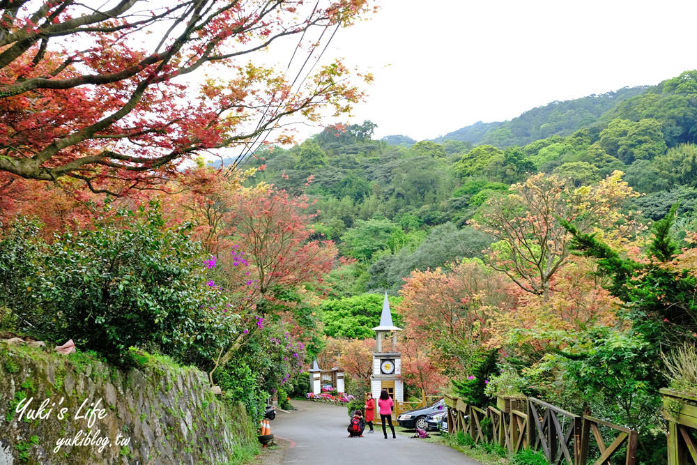 士林台北奧萬大》陽明山賞楓、繡球花、森林親水避暑、小木屋簡餐下午茶 - yuki.tw