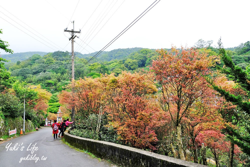 士林台北奧萬大》陽明山賞楓、繡球花、森林親水避暑、小木屋簡餐下午茶 - yuki.tw