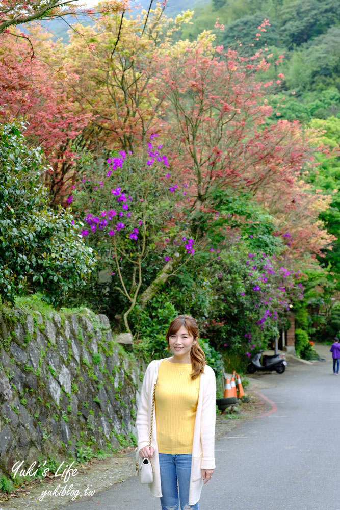 士林台北奧萬大》陽明山賞楓、繡球花、森林親水避暑、小木屋簡餐下午茶 - yuki.tw