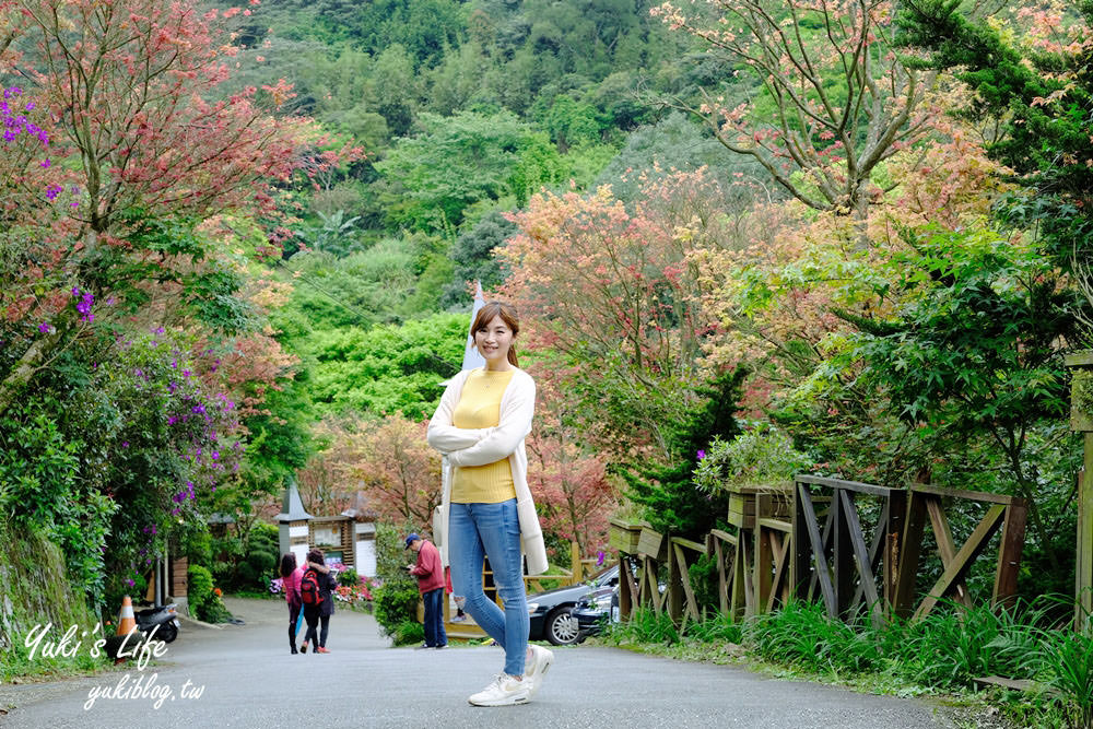 士林台北奧萬大》陽明山賞楓、繡球花、森林親水避暑、小木屋簡餐下午茶 - yuki.tw