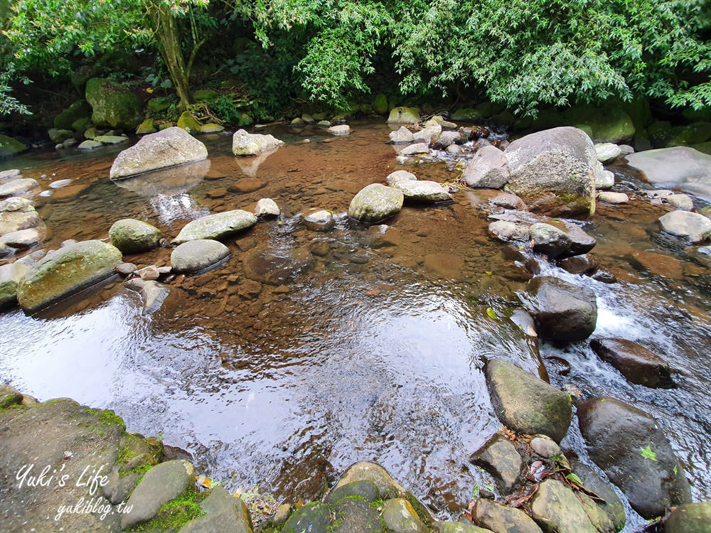 士林台北奧萬大》陽明山賞楓、繡球花、森林親水避暑、小木屋簡餐下午茶 - yuki.tw