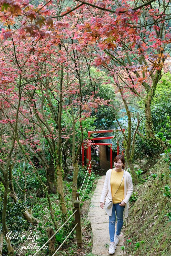 士林台北奧萬大》陽明山賞楓、繡球花、森林親水避暑、小木屋簡餐下午茶 - yuki.tw