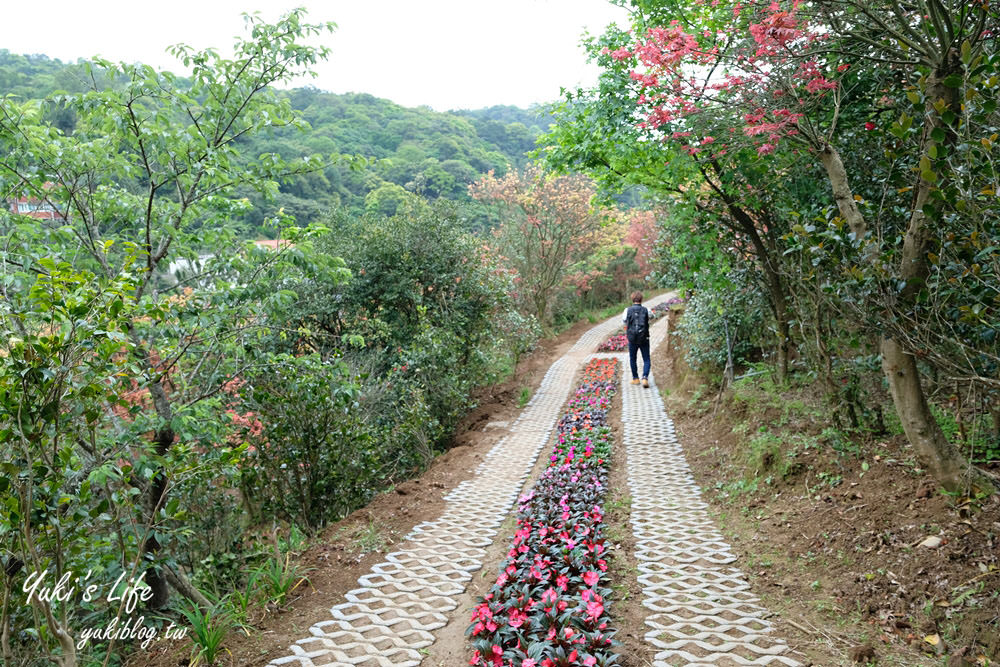 士林台北奧萬大》陽明山賞楓、繡球花、森林親水避暑、小木屋簡餐下午茶 - yuki.tw