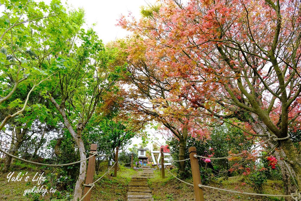 士林台北奧萬大》陽明山賞楓、繡球花、森林親水避暑、小木屋簡餐下午茶 - yuki.tw