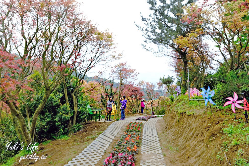 士林台北奧萬大》陽明山賞楓、繡球花、森林親水避暑、小木屋簡餐下午茶 - yuki.tw