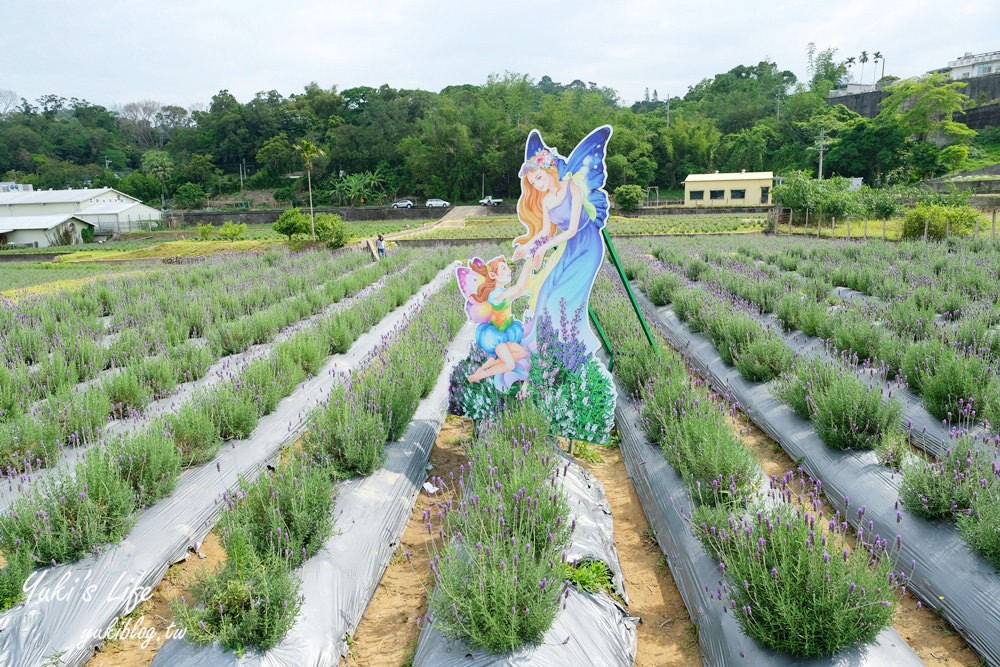 苗栗景點【葛瑞絲香草田】7千坪薰衣草花海免費逛×療癒景觀還能喝咖啡 - yuki.tw