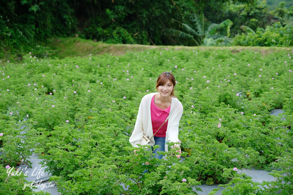 苗栗景點【葛瑞絲香草田】7千坪薰衣草花海免費逛×療癒景觀還能喝咖啡 - yuki.tw