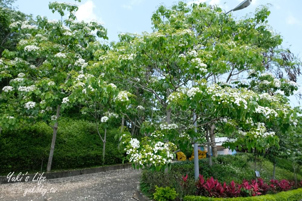 苗栗景點「苗栗客家大院」桃太郎日式街道免費逛.油桐花景點必收藏 - yuki.tw