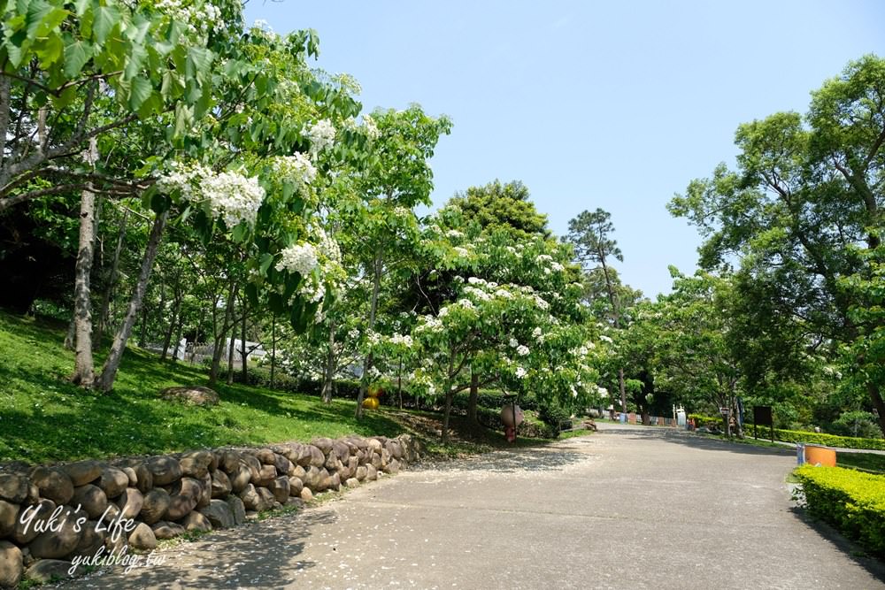 苗栗景點「苗栗客家大院」桃太郎日式街道免費逛.油桐花景點必收藏 - yuki.tw