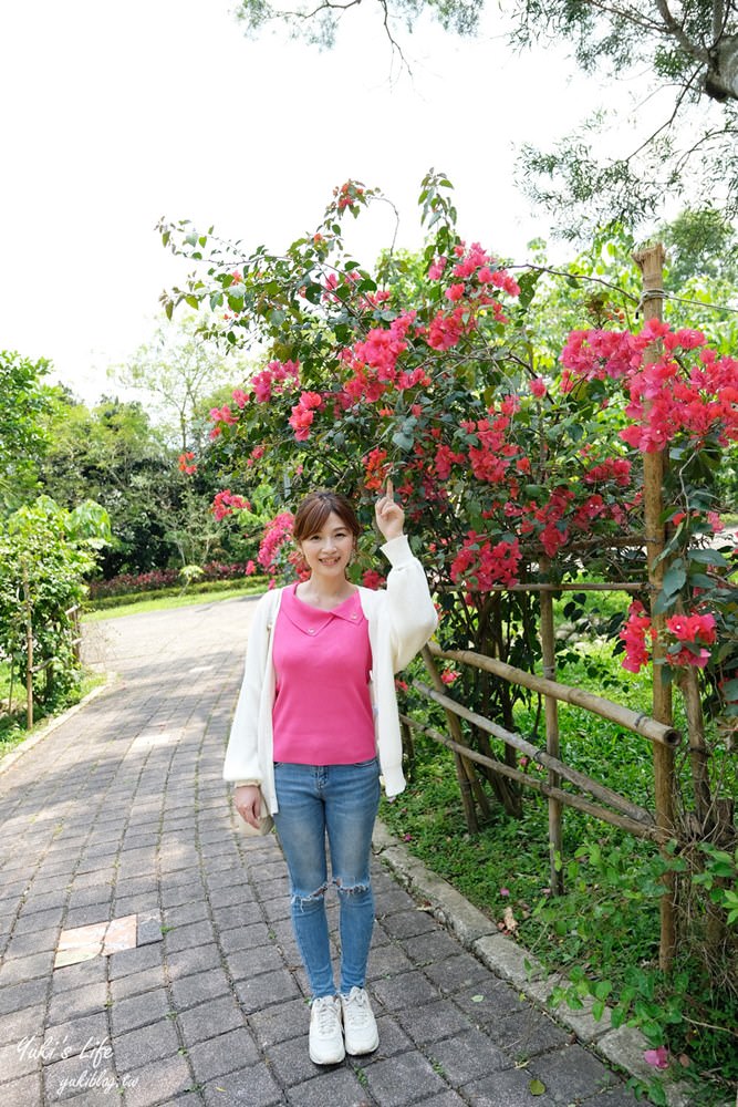 苗栗景點「苗栗客家大院」桃太郎日式街道免費逛.油桐花景點必收藏 - yuki.tw