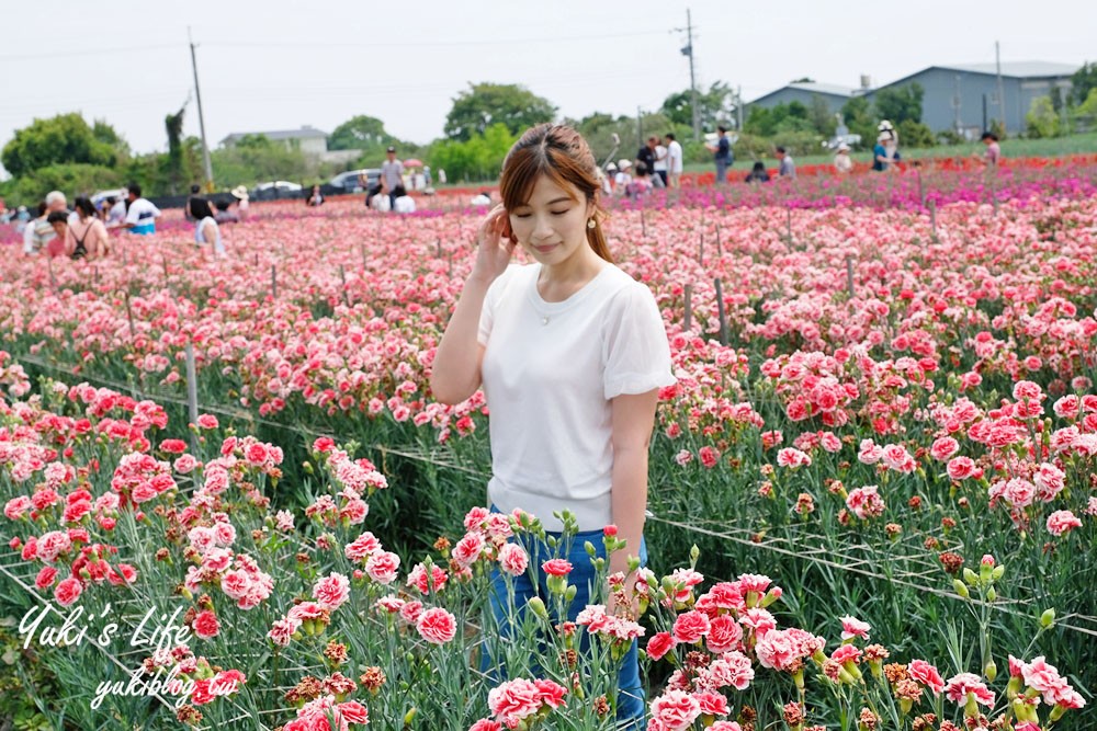 彰化賞花點【田尾康乃馨花田】夢幻彩虹康乃馨×母親節代表花朵開好開滿！ - yuki.tw