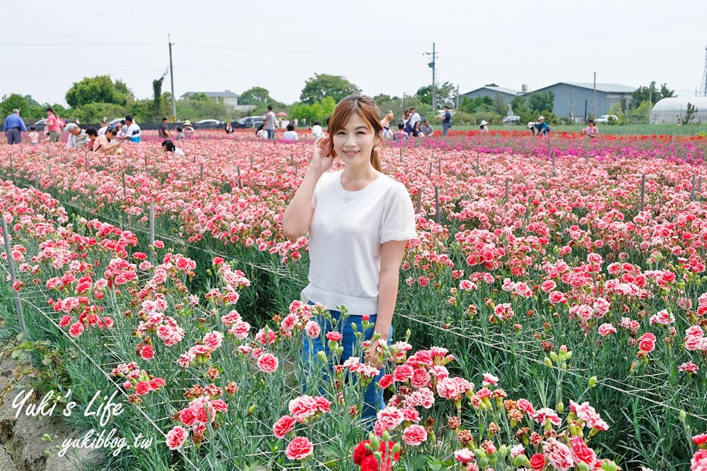 彰化賞花點【田尾康乃馨花田】夢幻彩虹康乃馨×母親節代表花朵開好開滿！ - yuki.tw