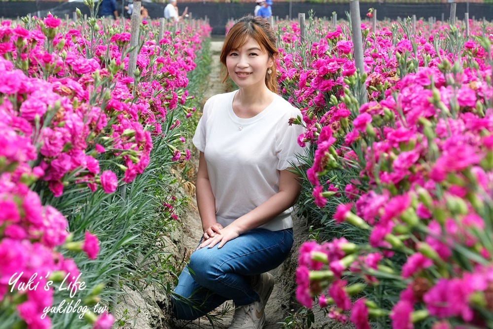 彰化賞花點【田尾康乃馨花田】夢幻彩虹康乃馨×母親節代表花朵開好開滿！ - yuki.tw