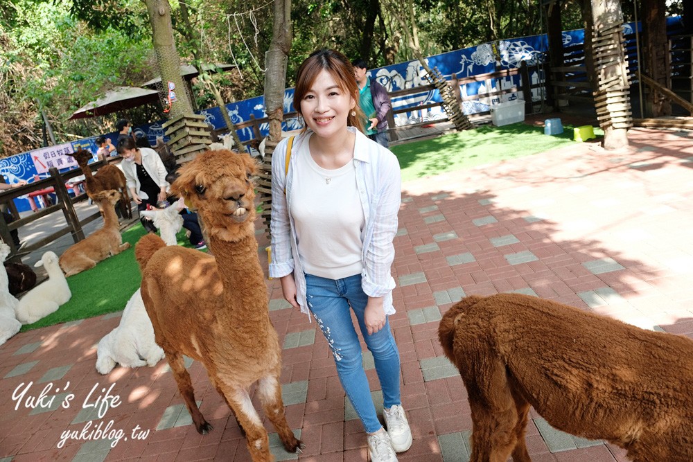 彰化最新景點一日遊│親子必玩景點行程大公開│恐龍樂園.餵鴕鳥.牛奶批發~ - yuki.tw