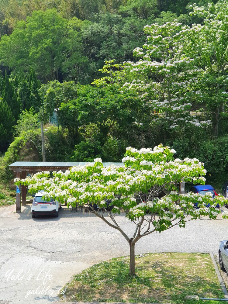 苗栗美食【山驛漫食館】三義龍騰斷橋旁景觀餐廳×舊山線鐵道自行車用餐賞花點 - yuki.tw